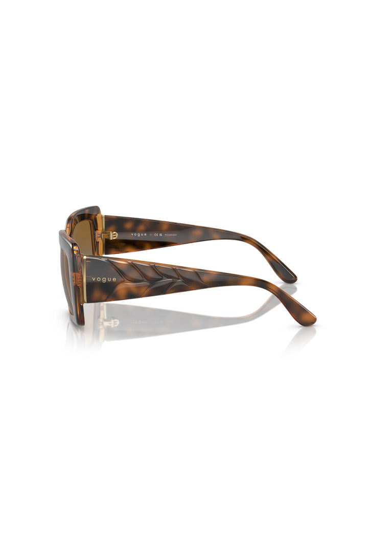 Havana Size 52 Sunglasses - Tortoise