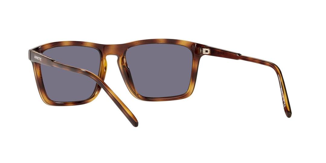 Arnette Shyguy Havana Sunglasses - Tortoise