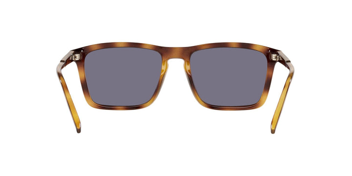 Arnette Shyguy Havana Sunglasses - Tortoise