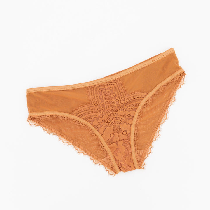 Ladies Mesh & Lace Bikini Panty - Orange