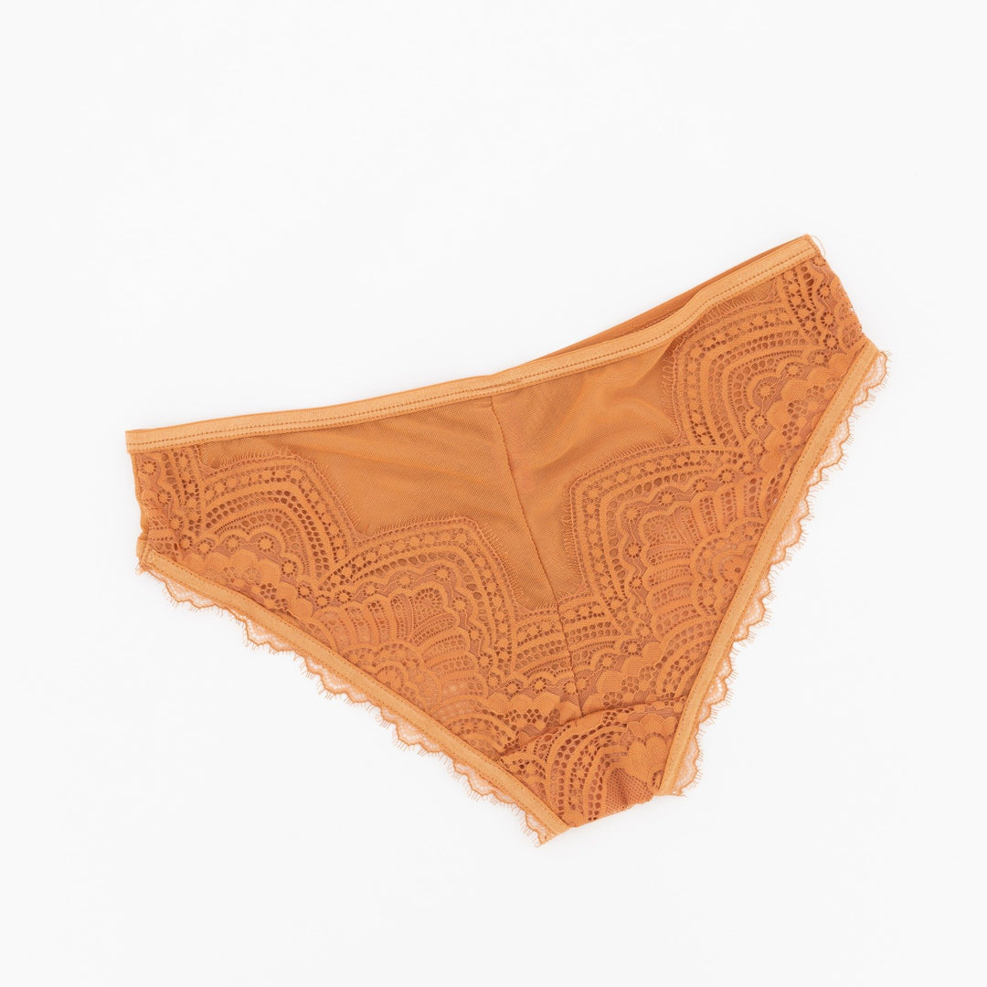 Ladies Mesh & Lace Bikini Panty - Orange