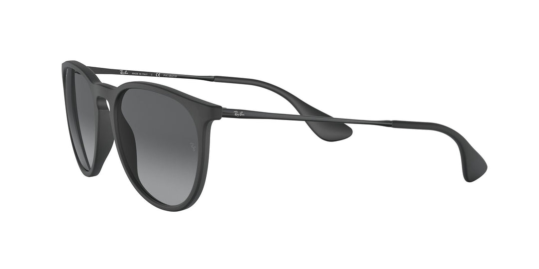 Ray-Ban Erika Grey Polarized Sunglasses