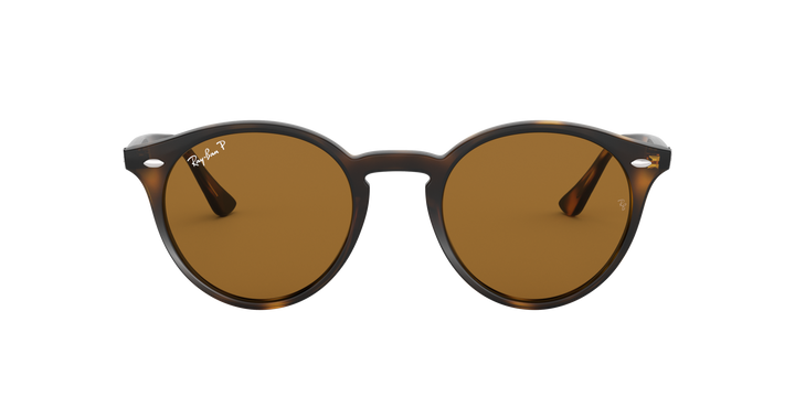 Ray-Ban Brown Polarized Sunglasses