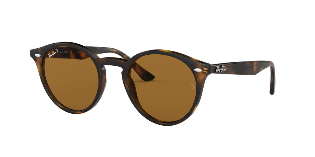 Ray-Ban Brown Polarized Sunglasses