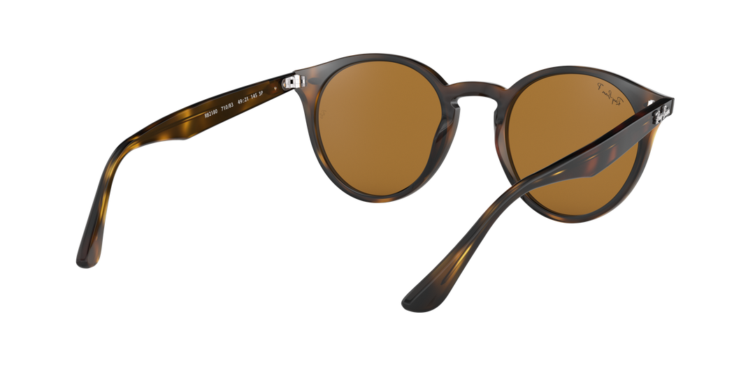 Ray-Ban Brown Polarized Sunglasses