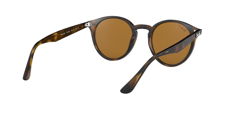 Ray-Ban Brown Polarized Sunglasses