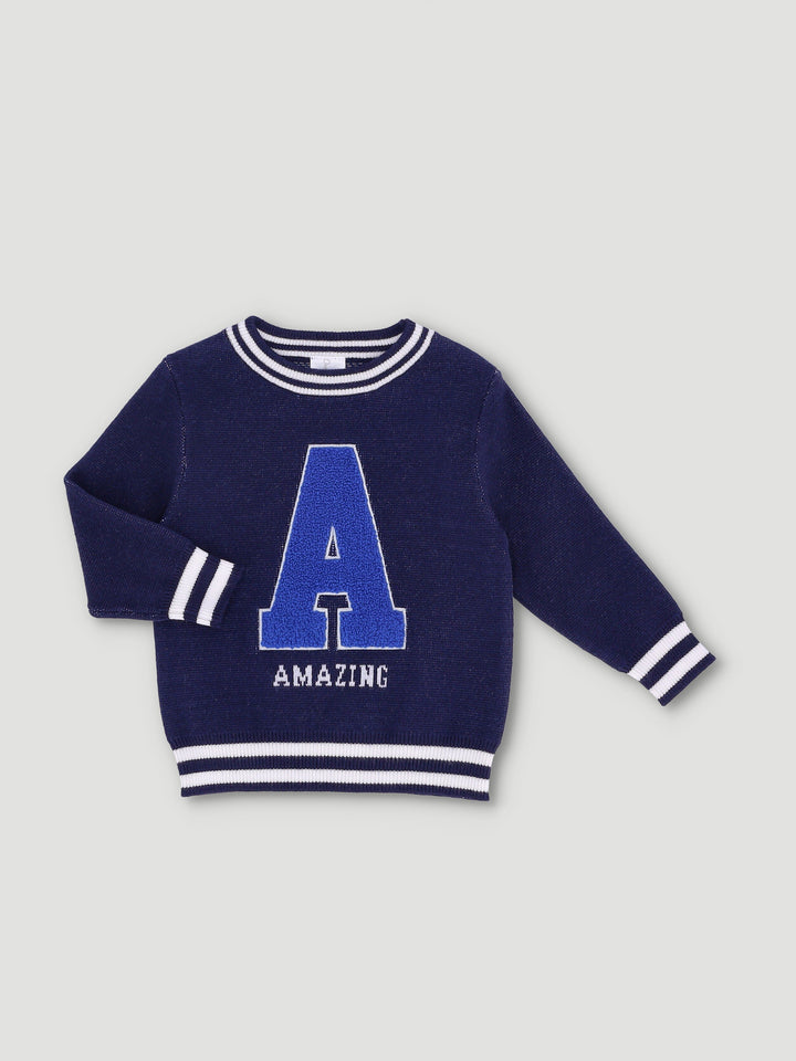 Baby Boys Pull Over Knit 3D Amazing Toweling Applique Knitwear - Navy