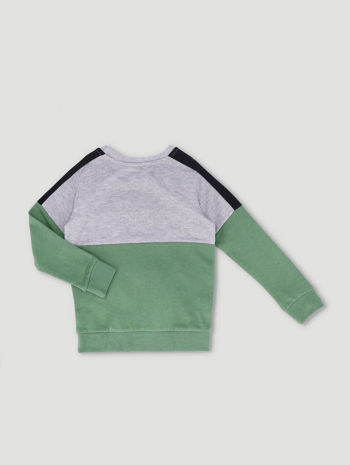 Pre-Boys Fashion Fleece Crew Colour Block Top - Green