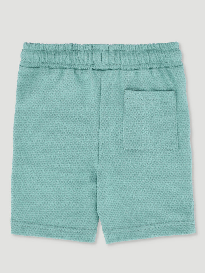 Pre-Boys Textured Shorts - Green