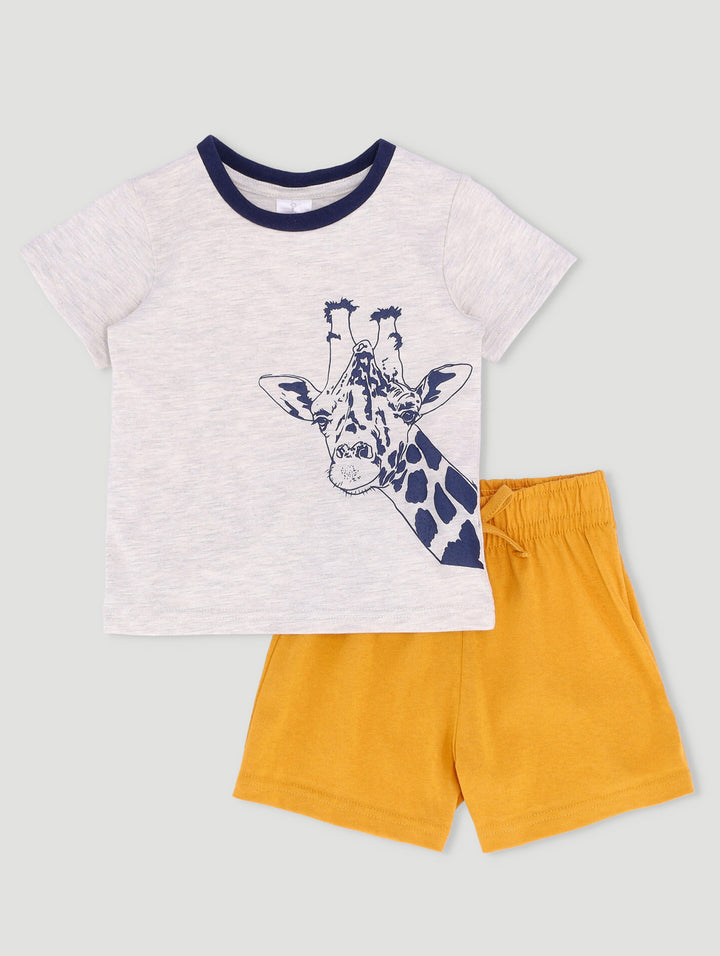 Baby Boys Animal Set - Stone