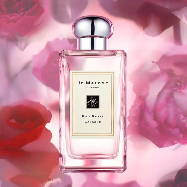 Red Roses Cologne