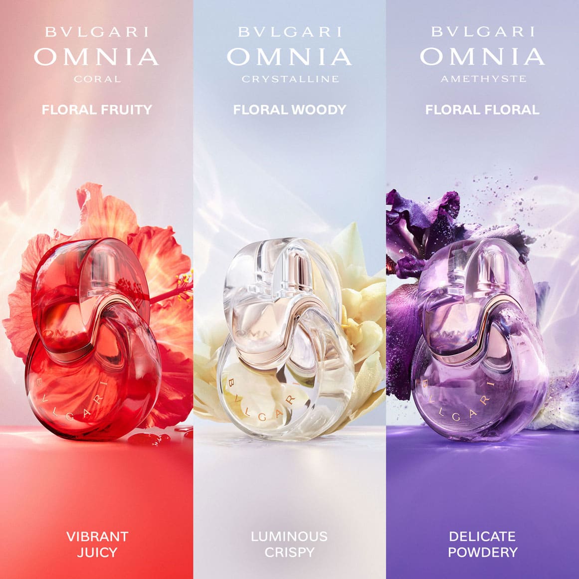 Blv omnia best sale