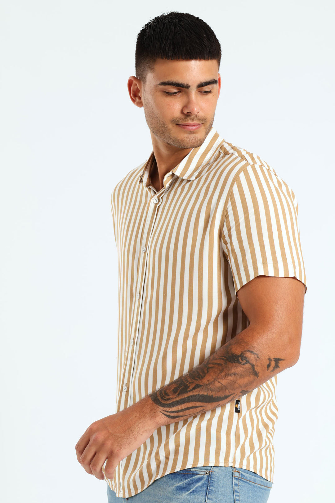 Viscose Stripe Shirt - Tabacco