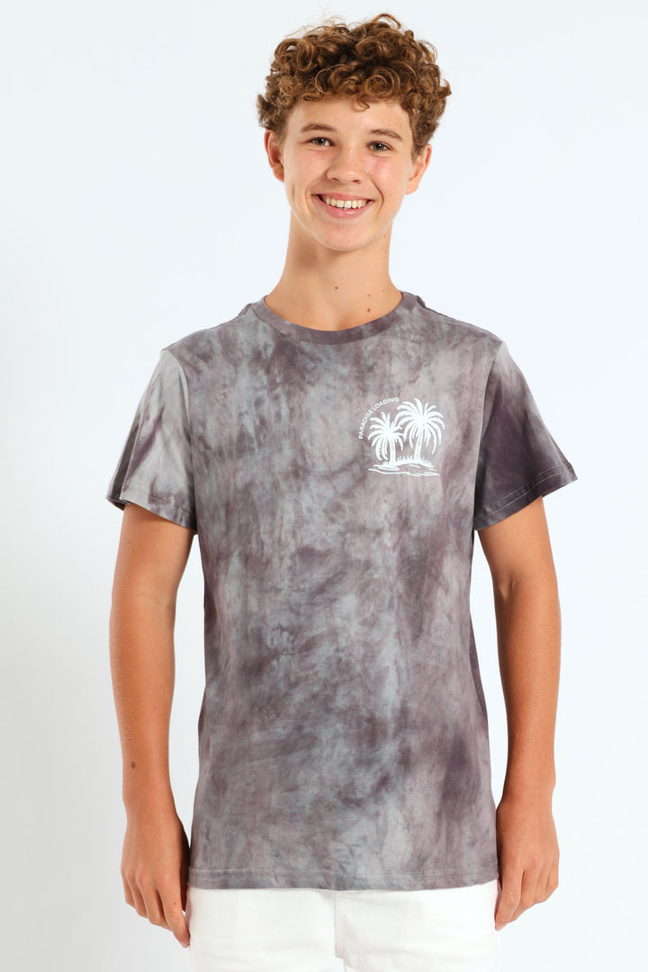 Boys Spectre Dye Palm Back Print T-Shirt - Grey