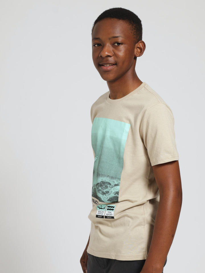 Boys Surf Print Tee - Grey