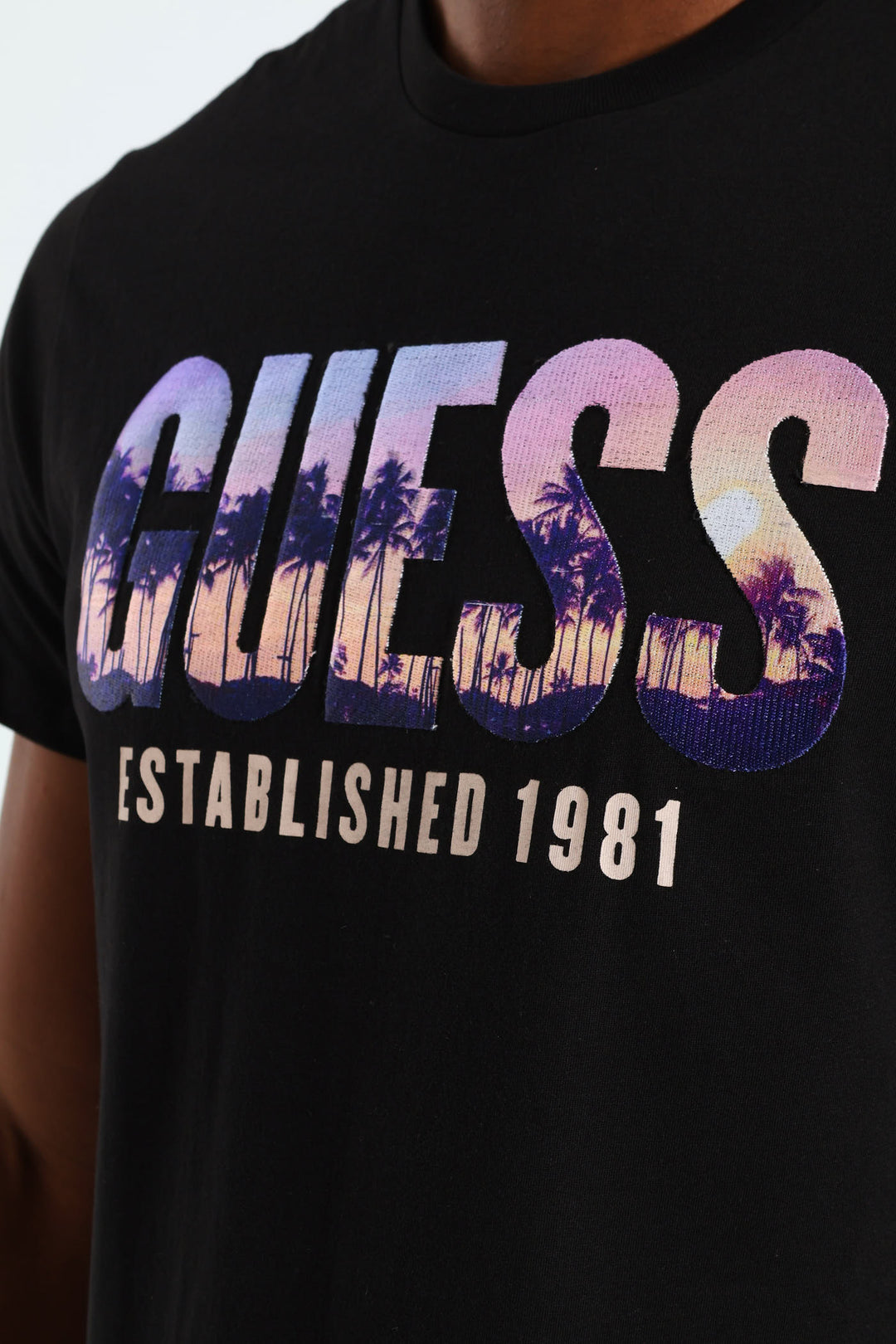 City Of Palms Tee - Black