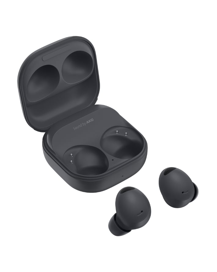 Galaxy Buds 2 Pro Grey