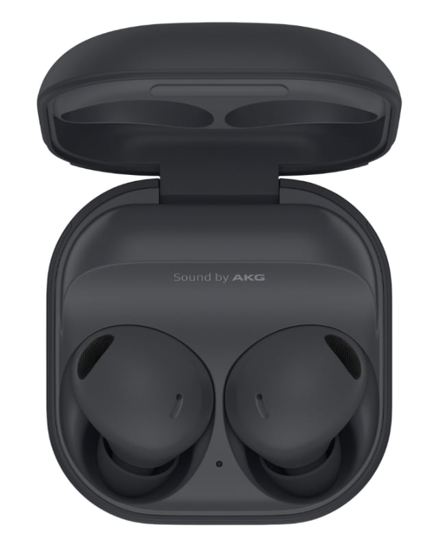 Galaxy Buds 2 Pro Grey