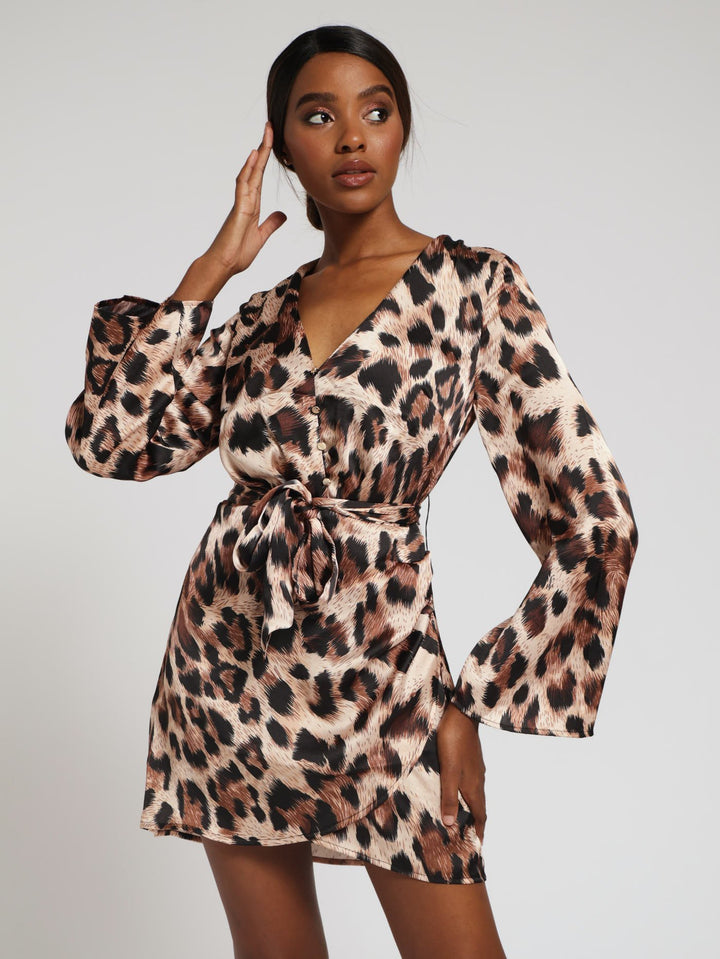 Michaela Animal Print Satin Shirt Dress