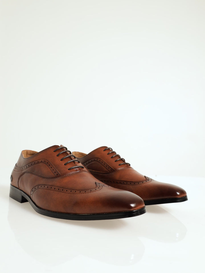 Maggio Wing Brogue Lace Up Derby - Tan