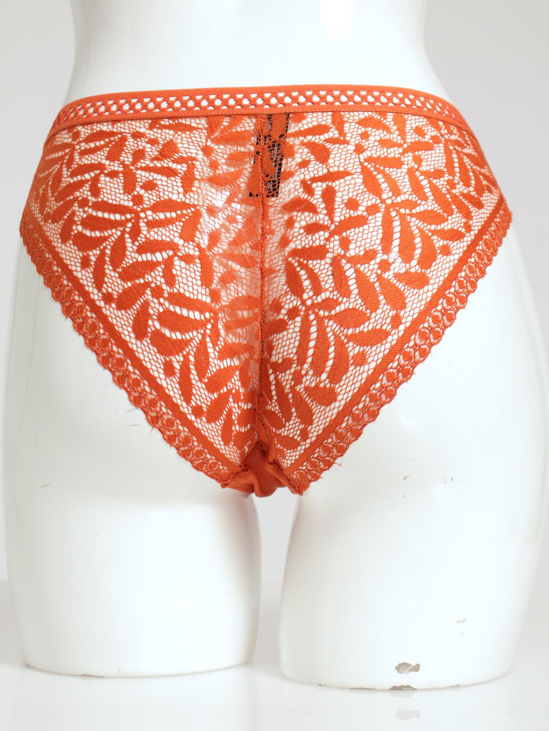 Mesh/Lace Bikini Panty - Rust