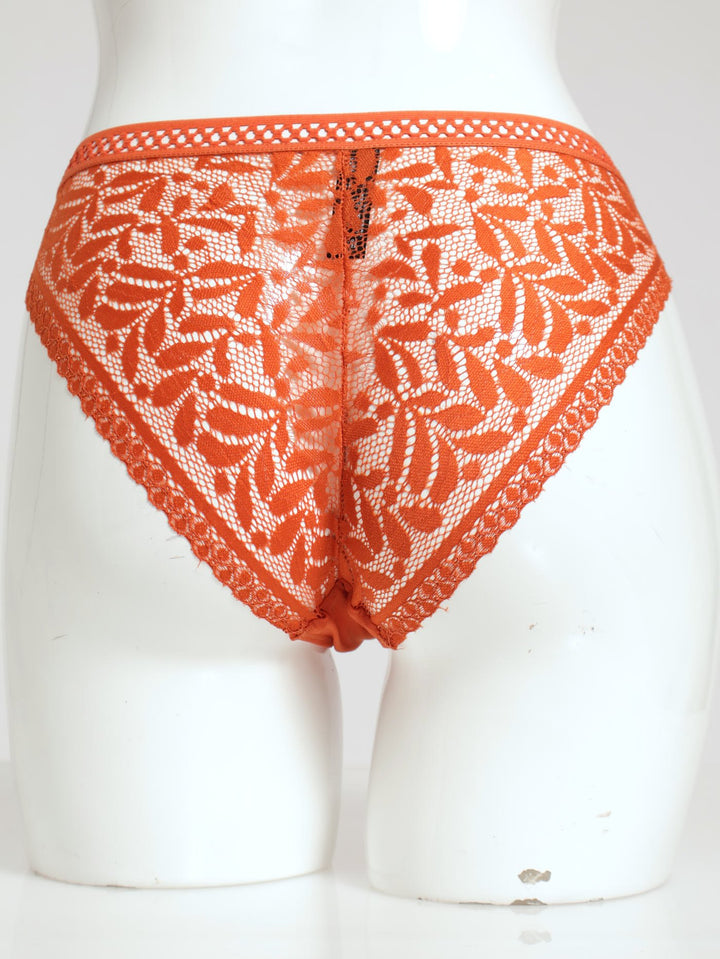 Mesh/Lace Bikini Panty - Rust