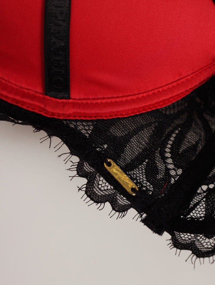 Ladies Eyelash Lace Push-Up  Bra - Red/Black