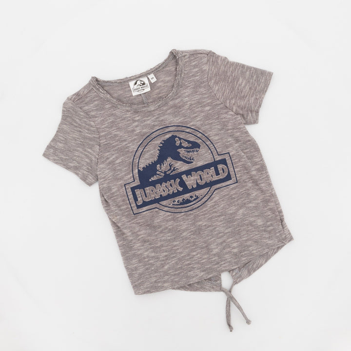 Pre-Boys Jurassic Park Fishtail Tee-Seafoam